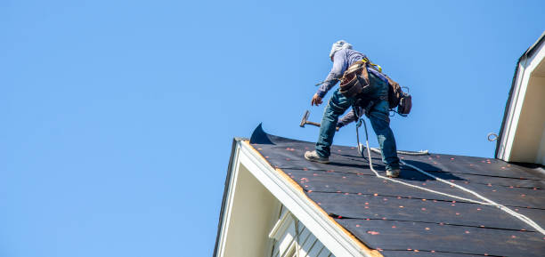 Best Residential Roofing Contractor  in Homestead Meadows South, TX